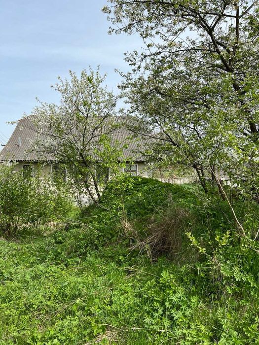 Продаж будинку в Єзуполі