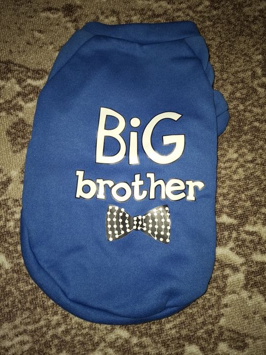 Бобка, кофта, свитер для собак, котов