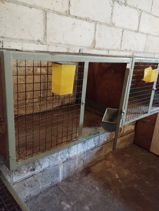 Klatki dla królików z wyposażeniem