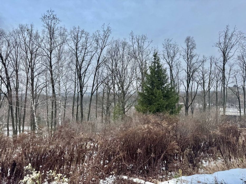 Лісники! Продаж земельноі ділянки з маєтком