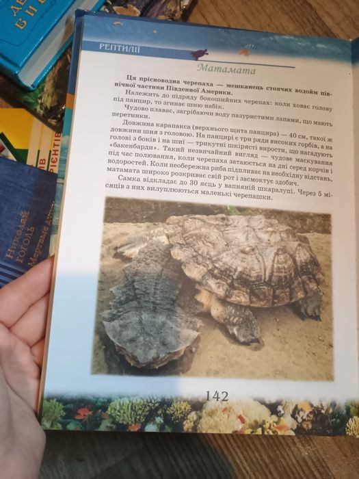 Книга "Цікаві дивовижні"