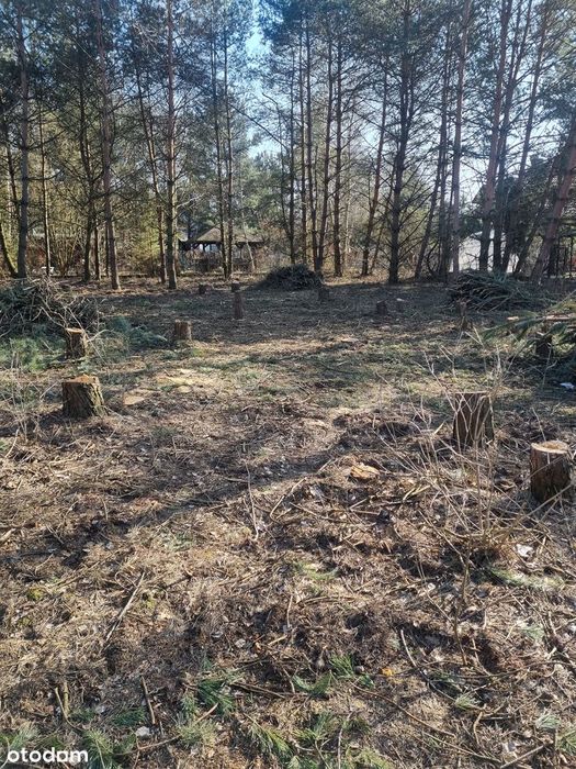 Atrakcyjne działki budowlana przy linii lasu – Dobiesz, 1400m²/2583m² - Widok 4
