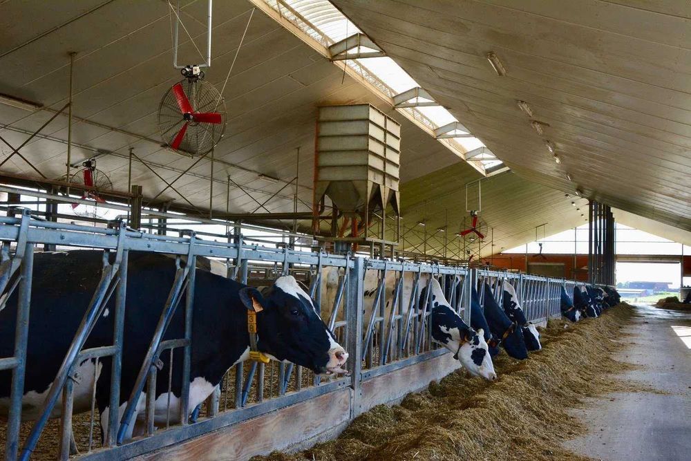 Wentylator oborowy Multifan - mieszacz powietrza koszowy , helikopter