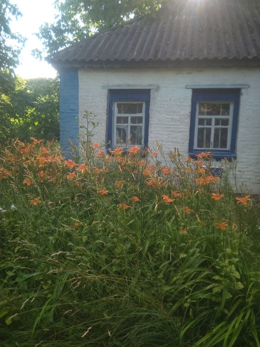 Продам будинок в селі Клепачі Полтавської обл Лубенського району