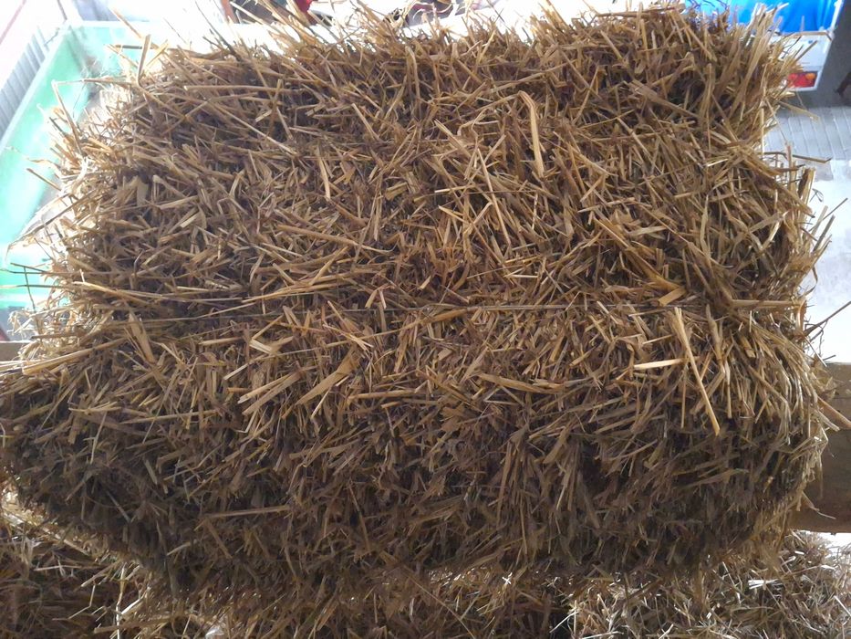 Sprzedam słomę w kostkach