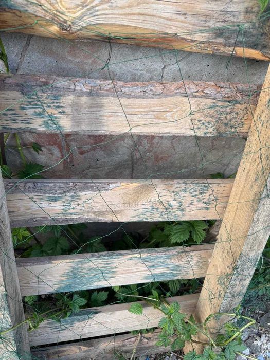 Антидронова сітка