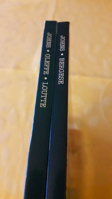 BD - Biggles - W.E.Johns/Bergese/Oleffe/Loutte (Edição francesa)