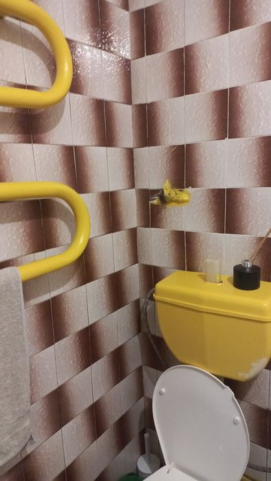 Продається 1 кімнатна квартира в центрі міста Ковель