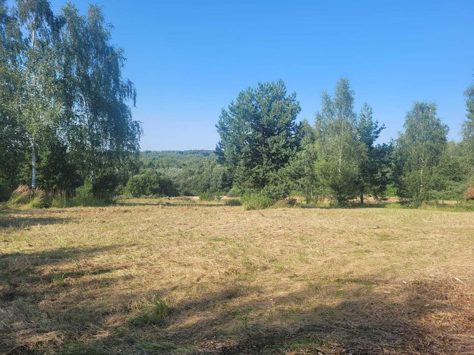 Działka 1,0321 ha z warunkami zabudowy – Natura 2000 - Widok 3
