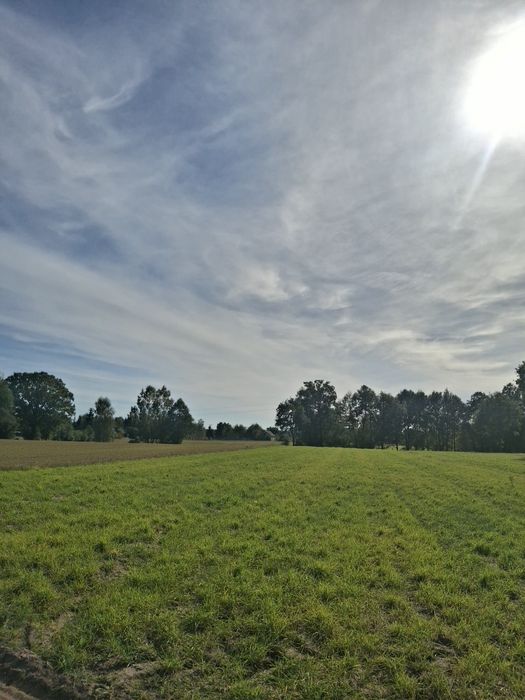 Działki budowlane w Bindużce – bliskość natury, lasów i rzeki Narew! - Widok 3