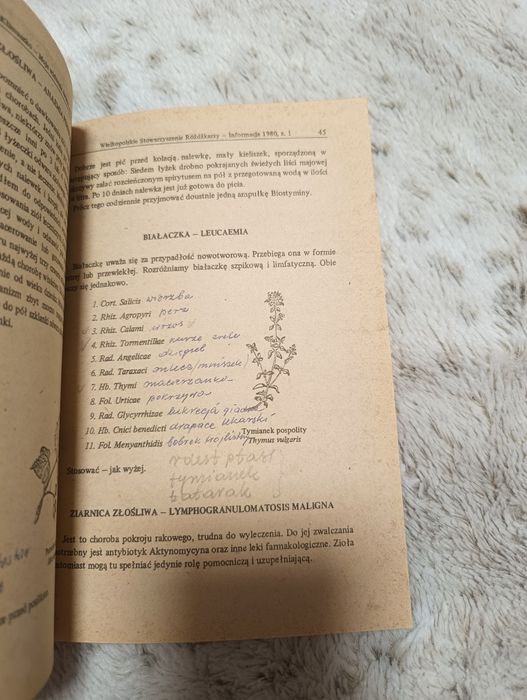 Moje widzenie świata Powrót do ziół