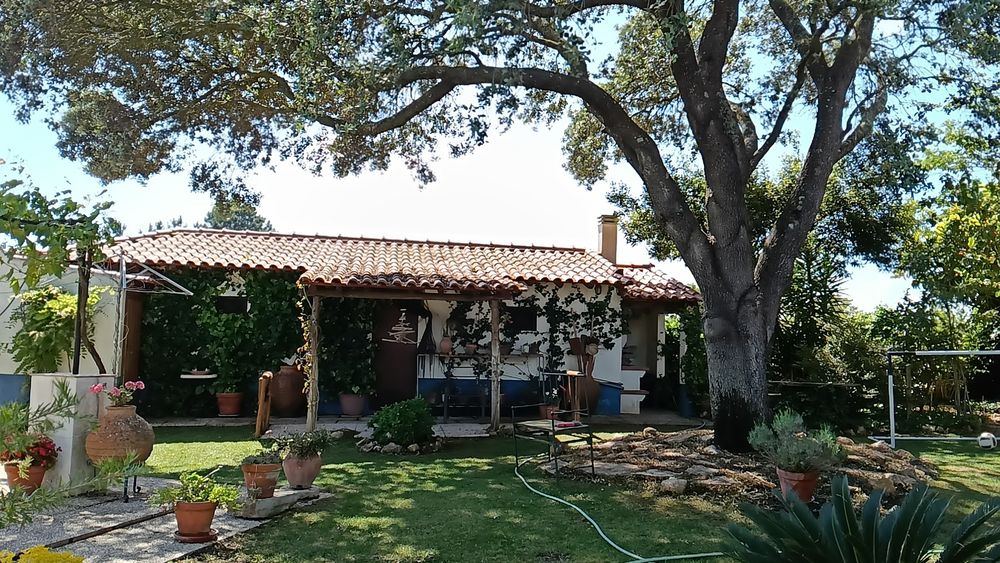 Prestação de serviços gerais