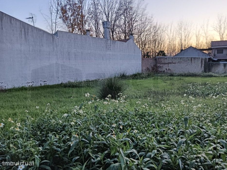 Terreno com 31m de frente para venda Bustos - Oliveira do Bairro