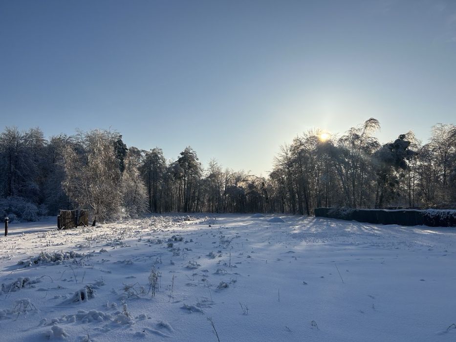 Готовий будинок  з виходом до лісу! Здвижівка! 20 соток