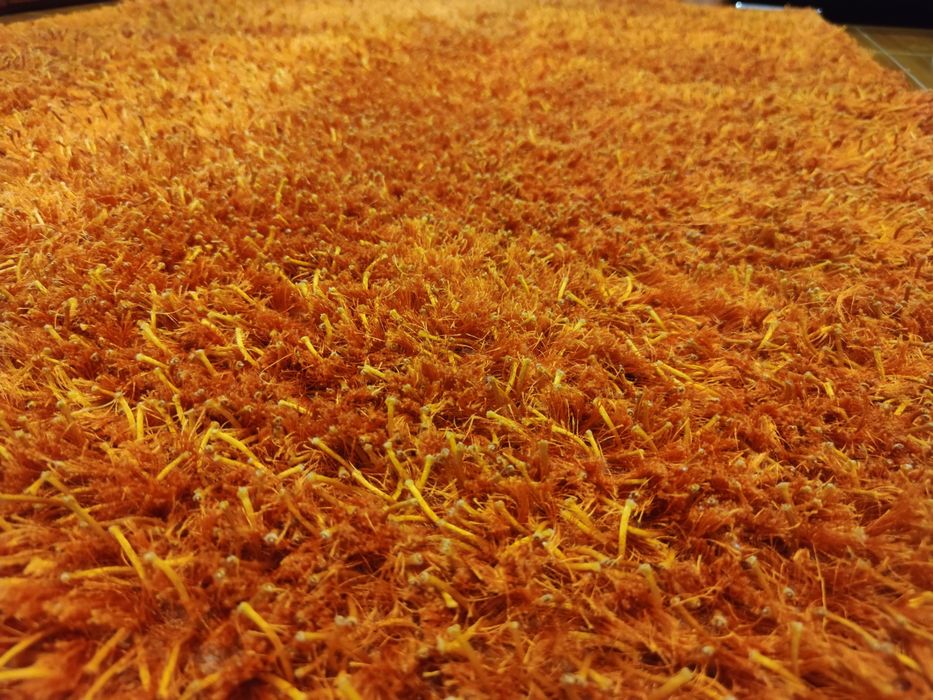 Carpete de sala nova