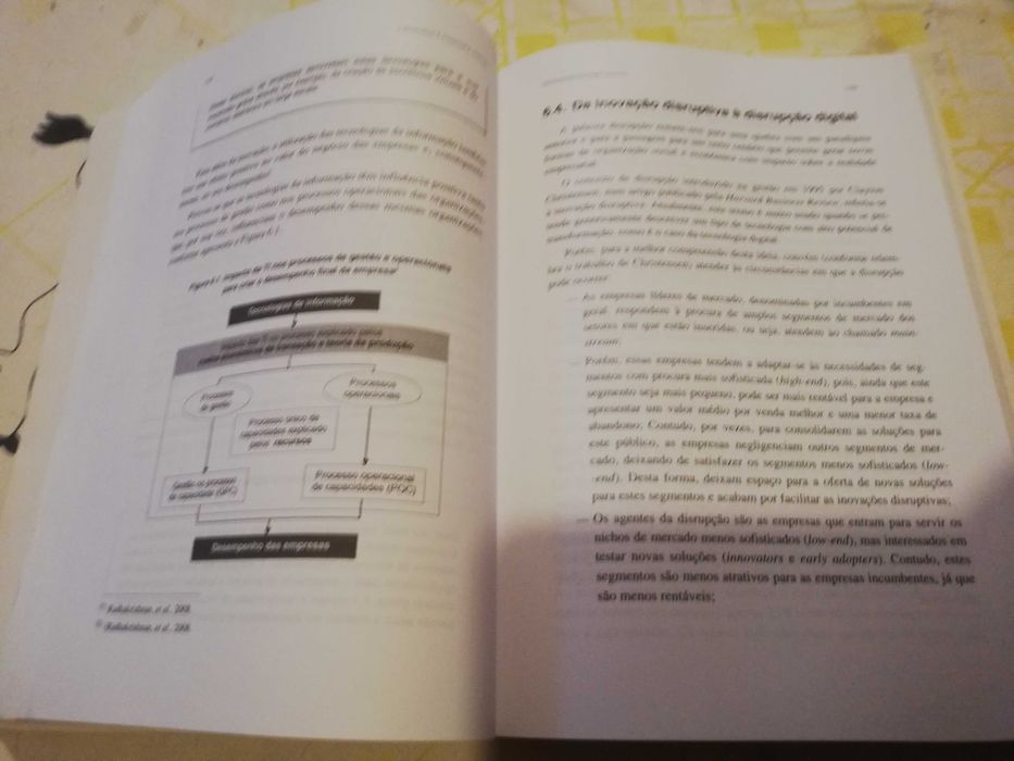 Livros E-business e Gestão das Organizações