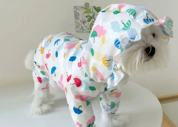 Roupas para cães