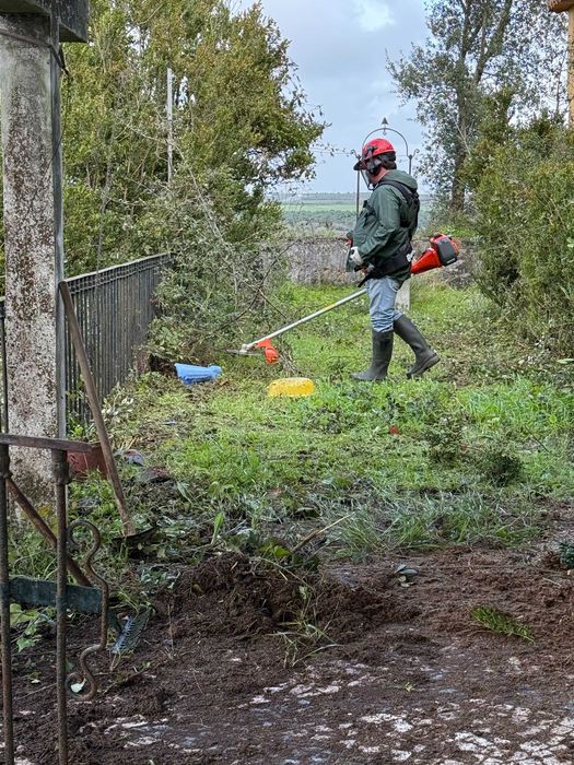 Limpeza de terrenos e desmatações