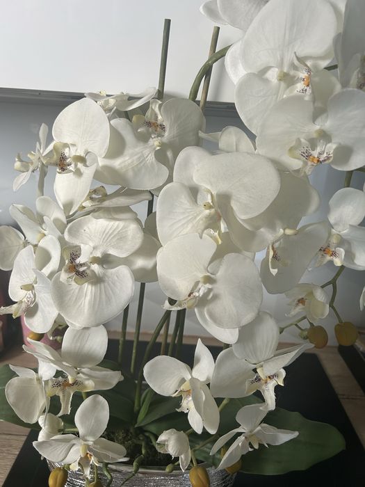 Piwknu storczyk sztuczny bialy kremowy 65 cm duży