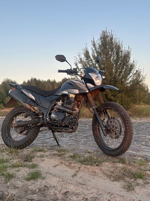 Продам Лонкін прус 200