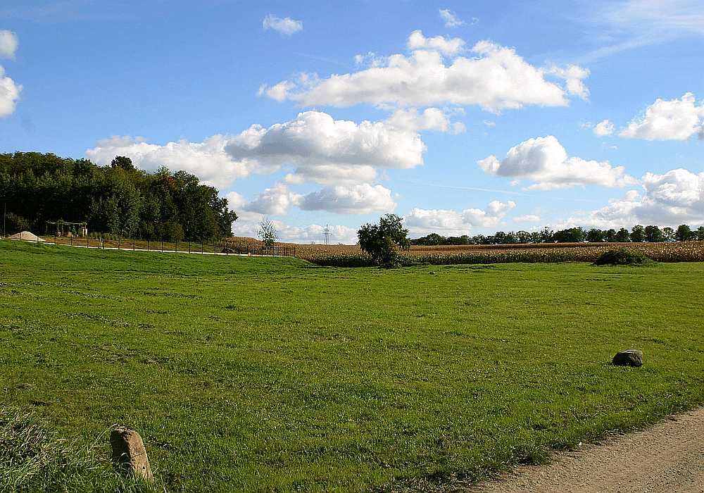 Działka budowlana 40 ar Złotogłowice gmina Nysa