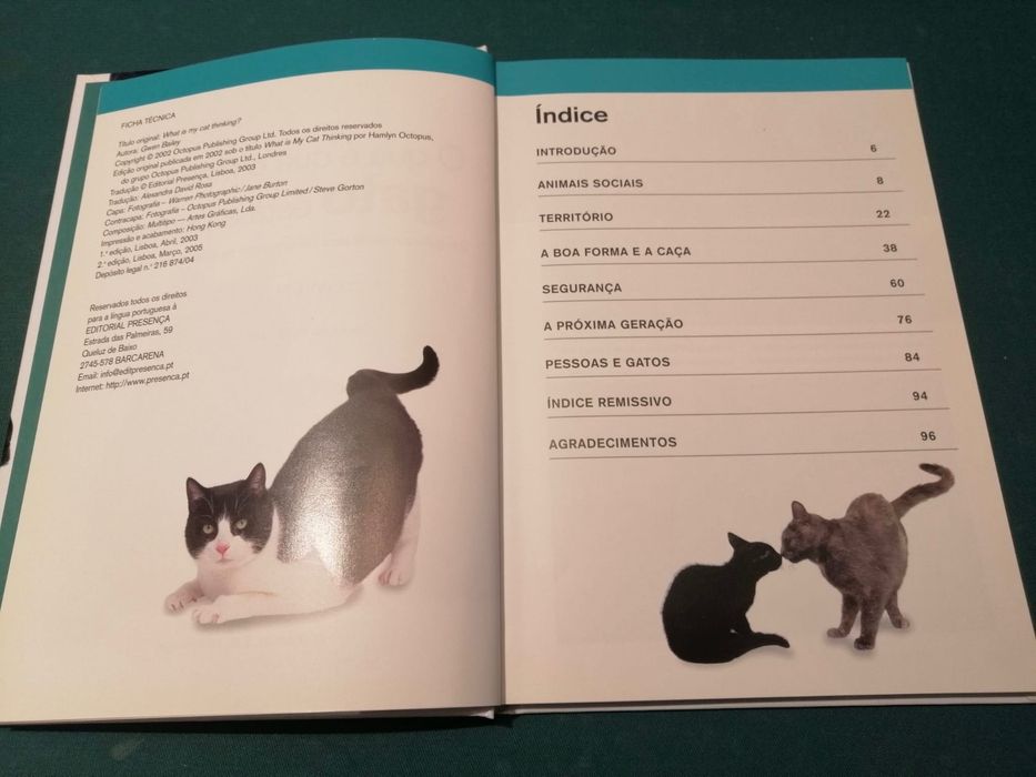 Livro “O Que É Que o Meu Gato Está a Pensar?”