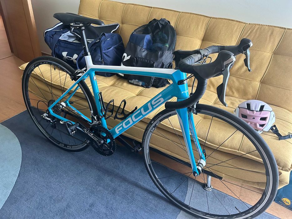 Focus Cayo Road Bike