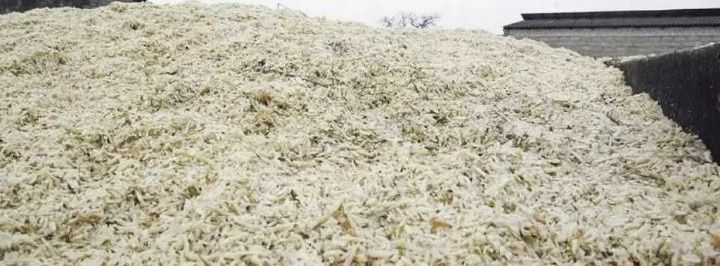 Wysłodki buraczane Rezerwacja.