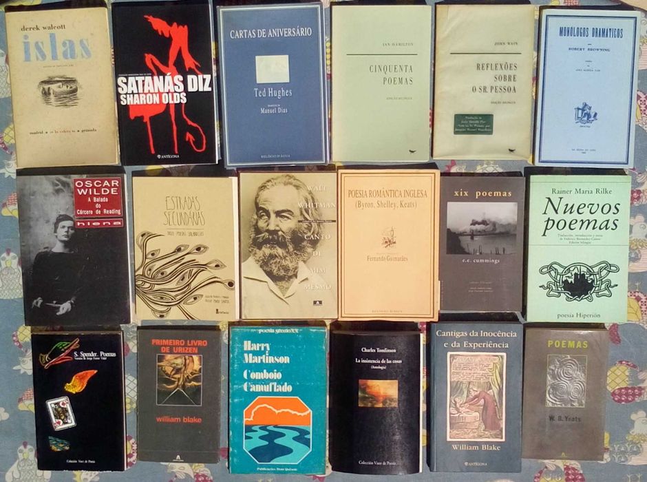 Foreign Poetry in Translation