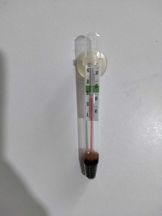 Акваріум для черепахи