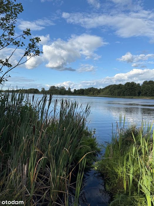 Działka z domem nad jeziorem, z potencjałem 120 km od Warszawy