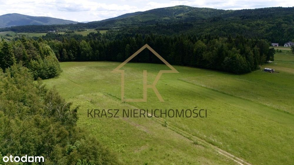 Widokowa działka 2292 m² w Naprawie
