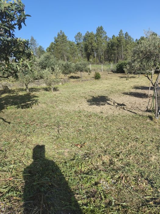 Limpeza de terrenos