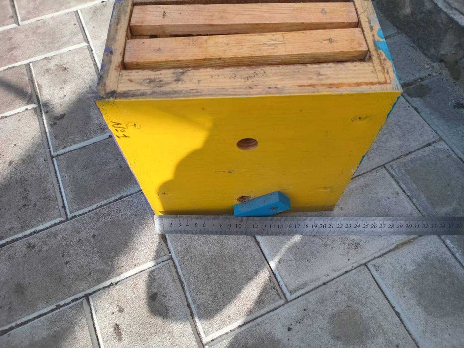 Мінінуклеус дерев`яний