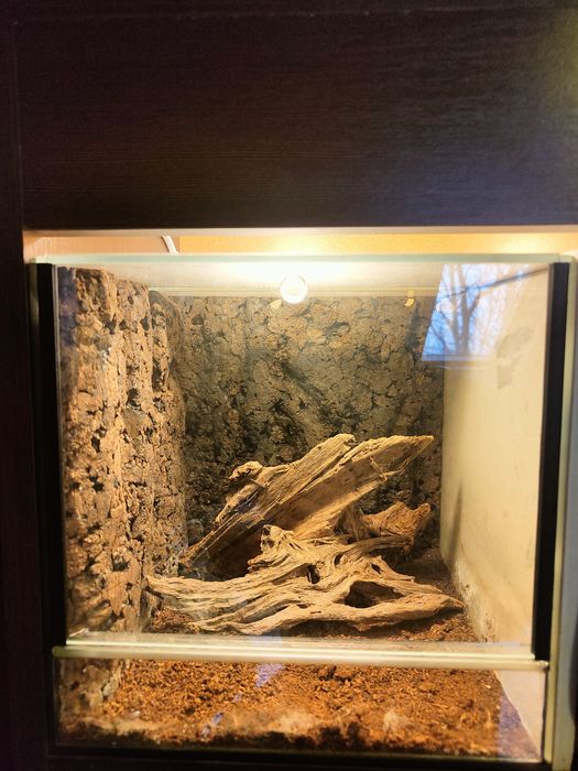 Terrarium dwukomorowe, podświetlane i podgrzewane