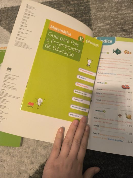 Caderno de fichas e fichas de avaliação 1° ano (NOVO)