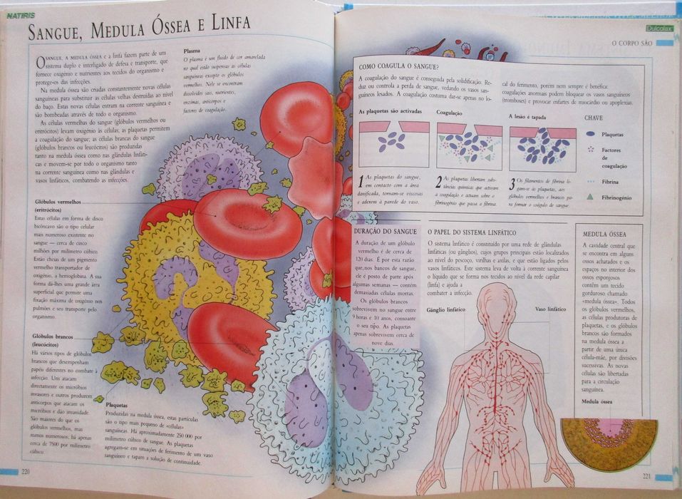 Stephen Carroll - - - Viver Melhor - - - - - Enciclopédia