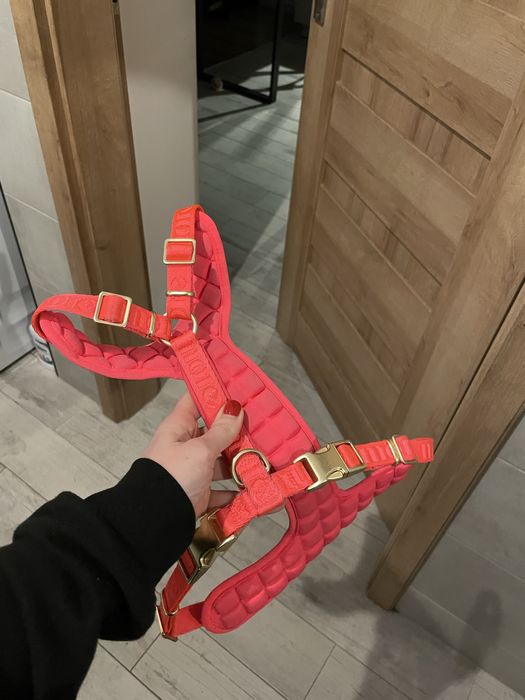 Piekne neonowe szelki