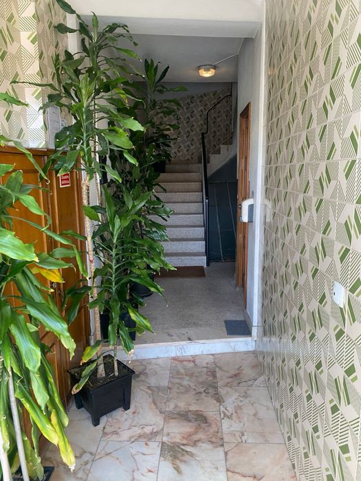 Alugo quarto em Sao Mamede de Infesta