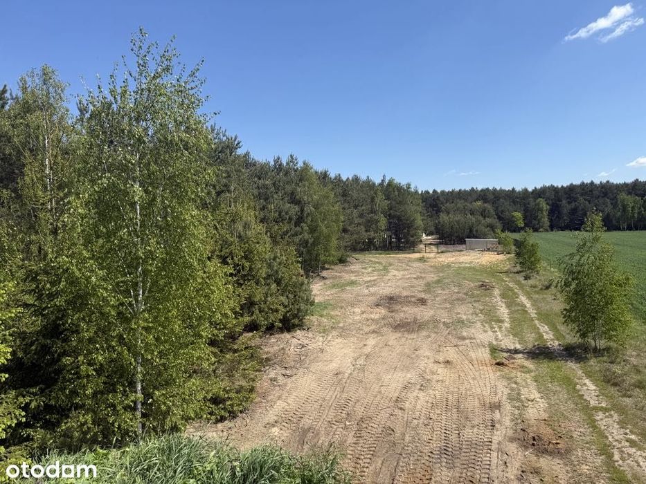 Zakościele | Działka 1 371 m² z WZ • Blisko Pilicy • Inowłódz