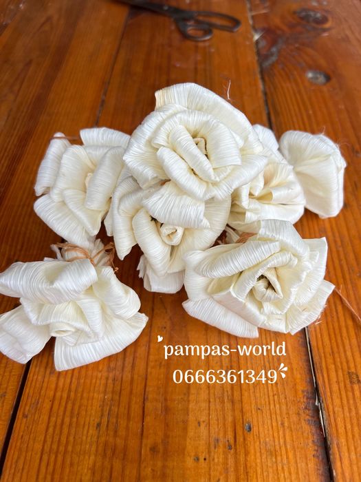 Сухостій, камиш , декор, очерет, пампасна трава