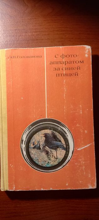 Голованова   С фотоаппаратом за синей птицей