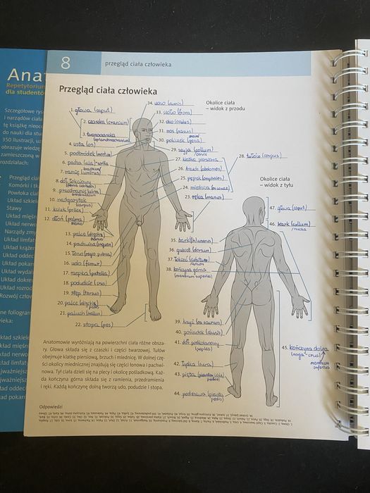 Repetytorium do anatomii