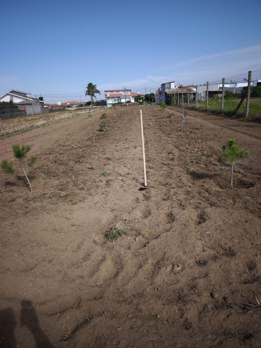 Terreno Urbano – Arada