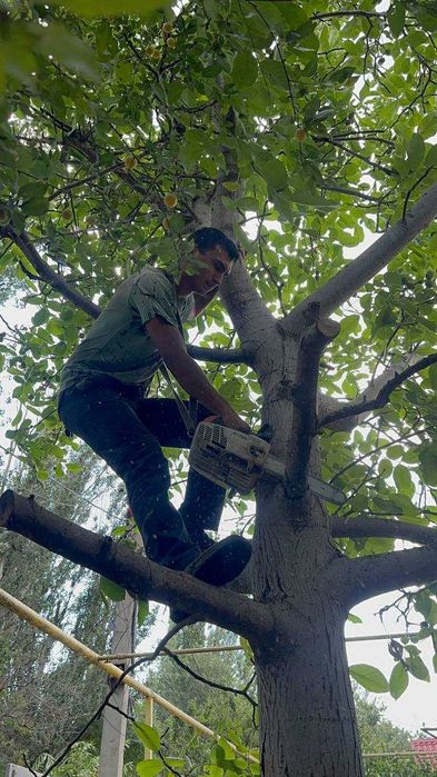 Уберем Ваш участок дачу территорию