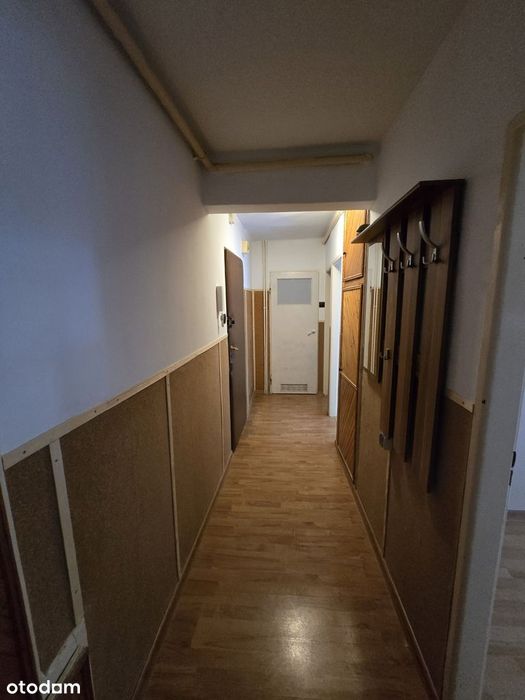 Mieszkanie na parterze z piwnicą