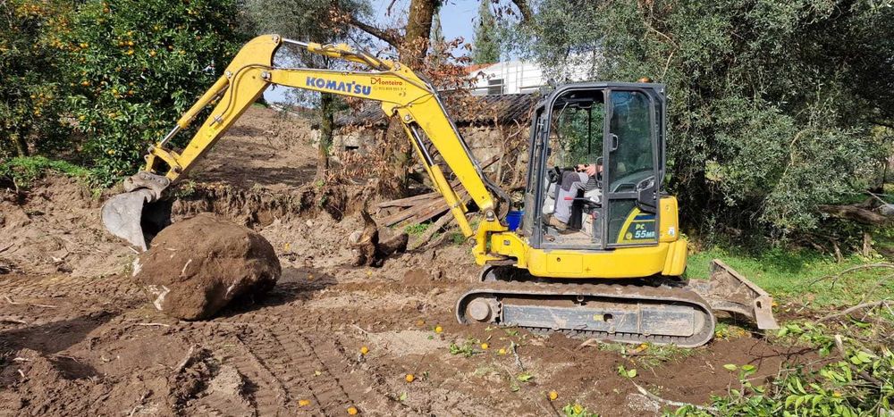 DMonteiro:trabalhos como limpezas florestais,escavação,demolição,muros