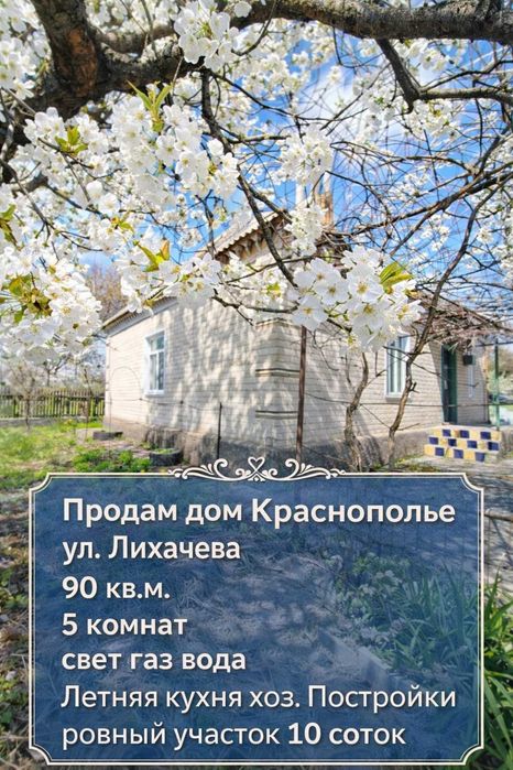 Продам Кирпичный Дом на 10 сотках в Краснополье