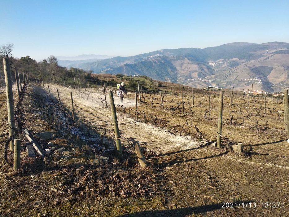 Vende-se terreno rústico em Valença do Douro - Tabuaço