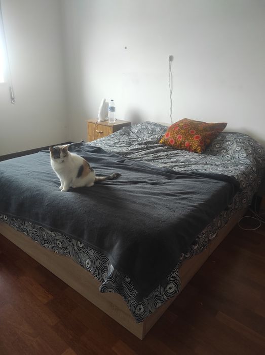 Cama Moviflor com 4 gavetas